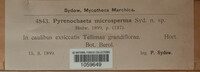 Pyrenochaeta microsperma image